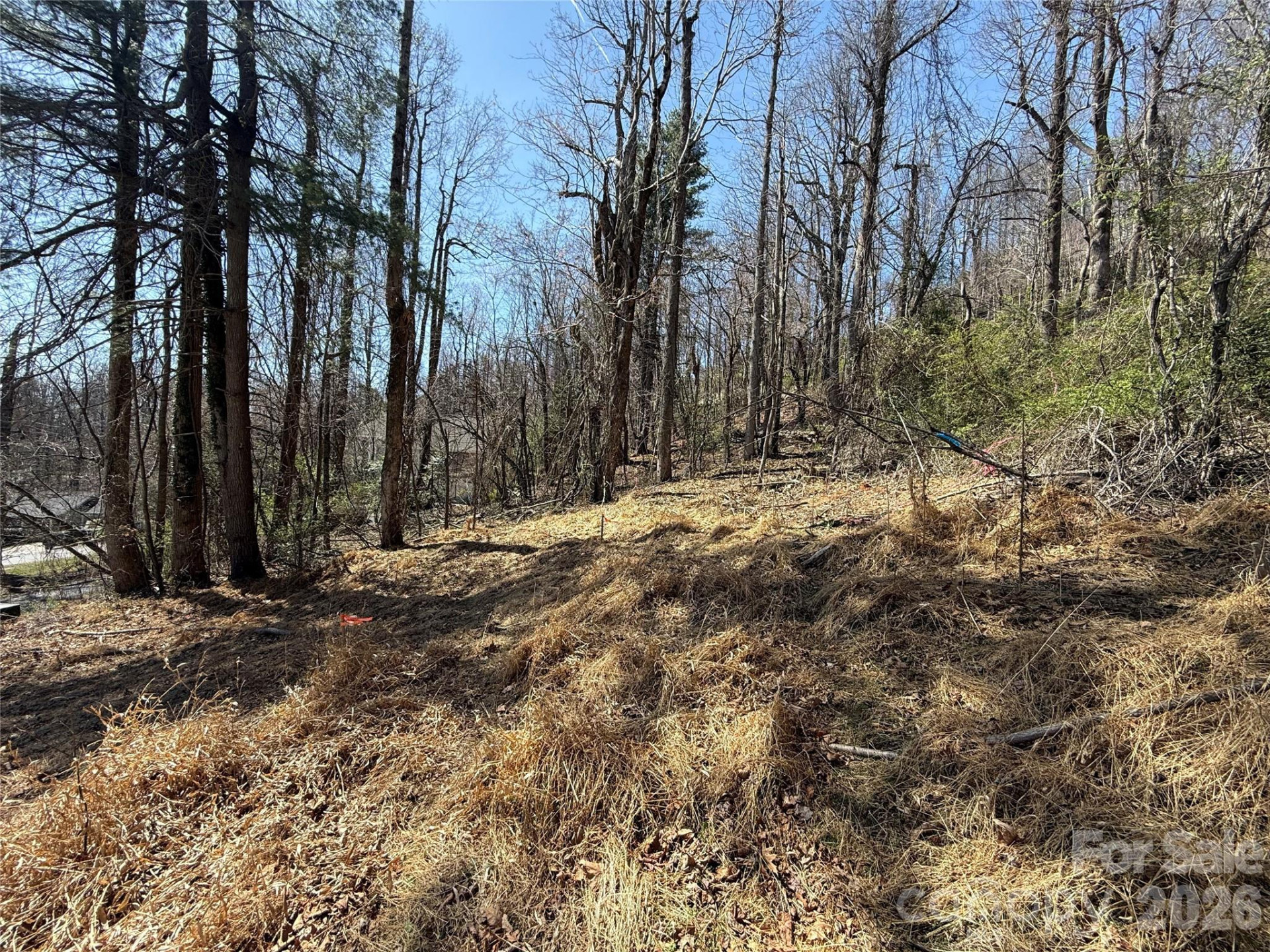 3 Fawn Turn Lane - Photo 9