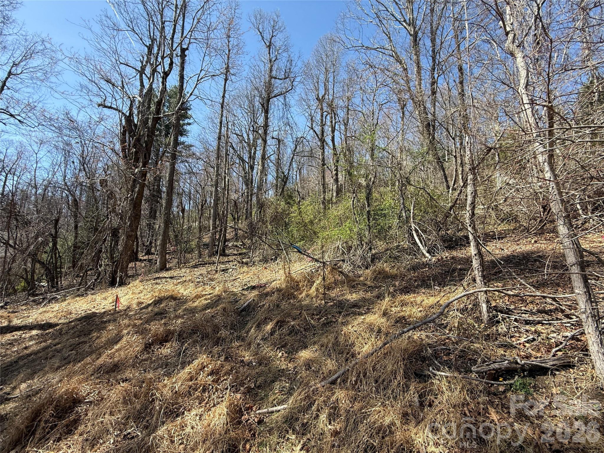 3 Fawn Turn Lane - Photo 10