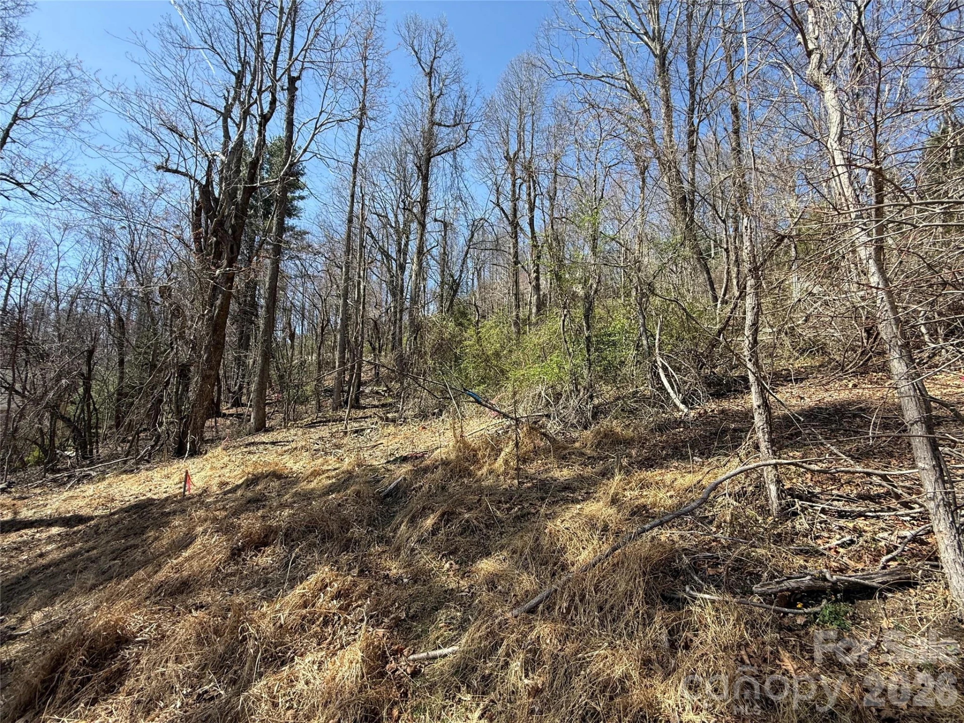 3 Fawn Turn Lane - Photo 10