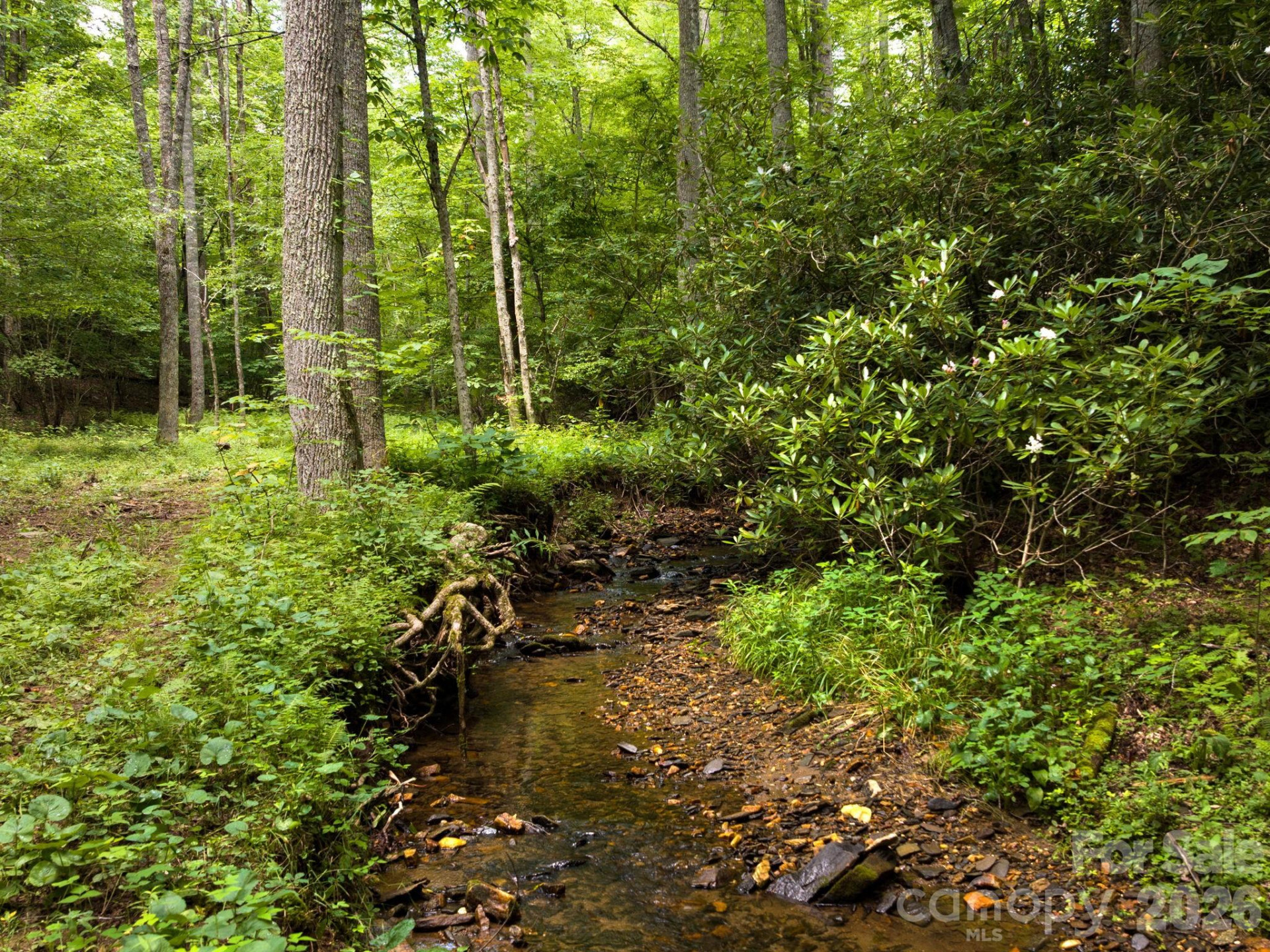 511 Emerald Mine Road - Photo 22