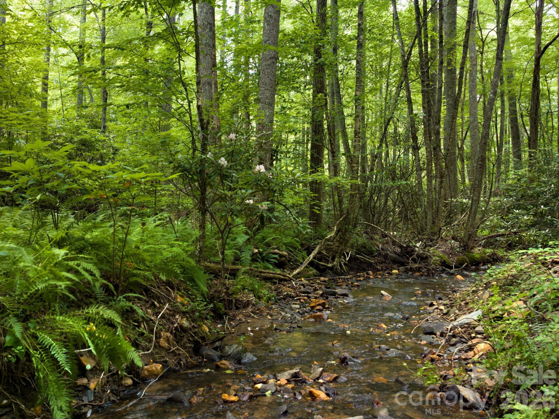 511 Emerald Mine Road - Photo 23