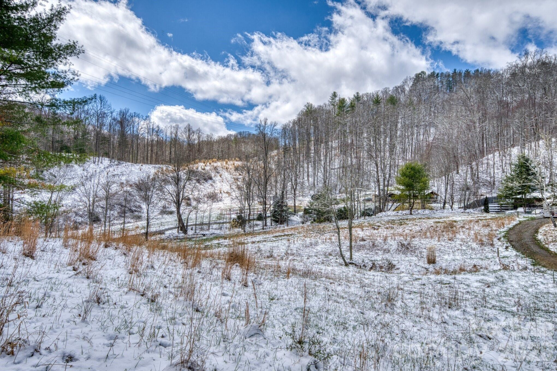 292 Crow Lane - Photo 29