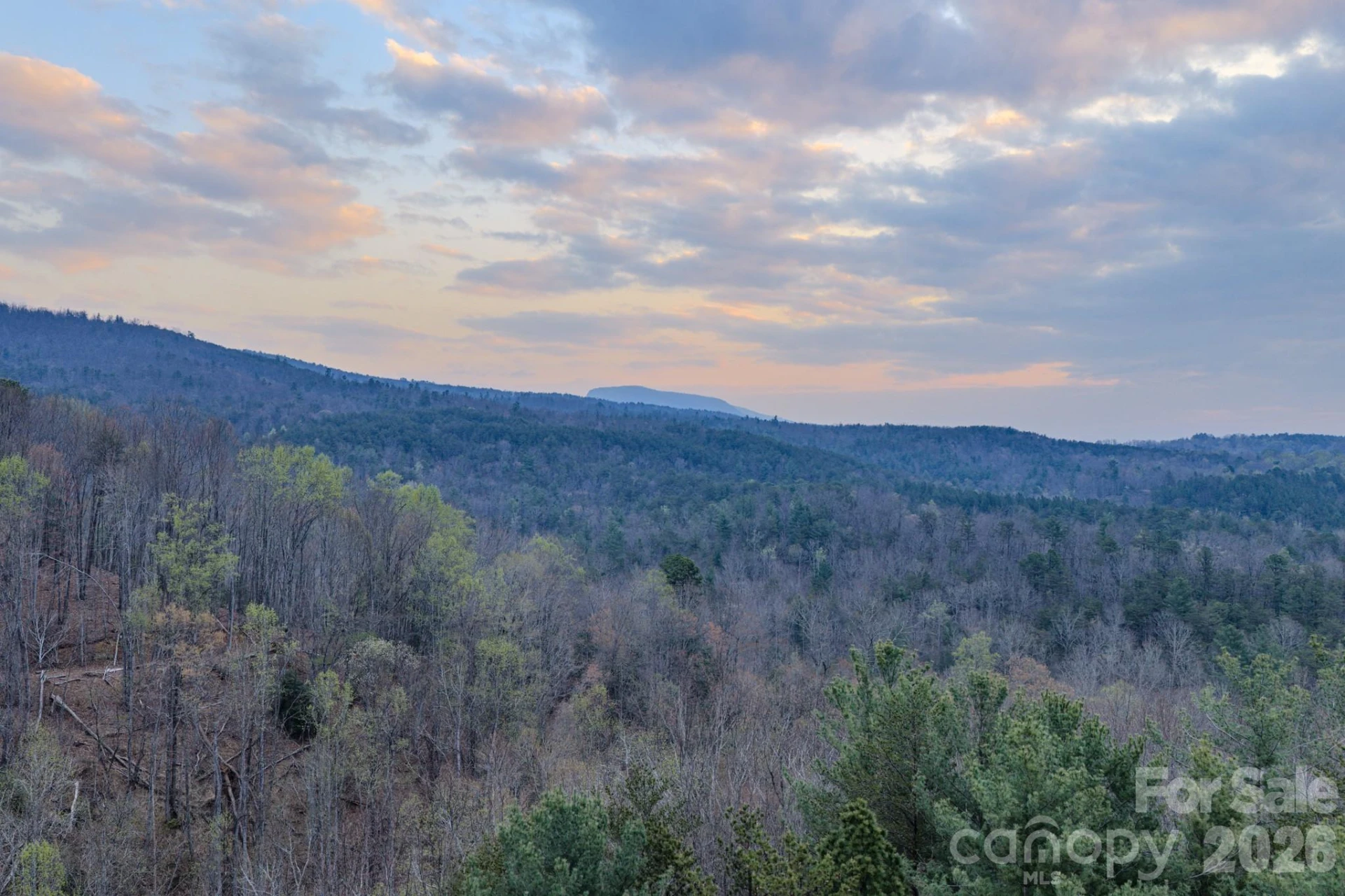 9147 Shortoff View Terrace - Photo 2