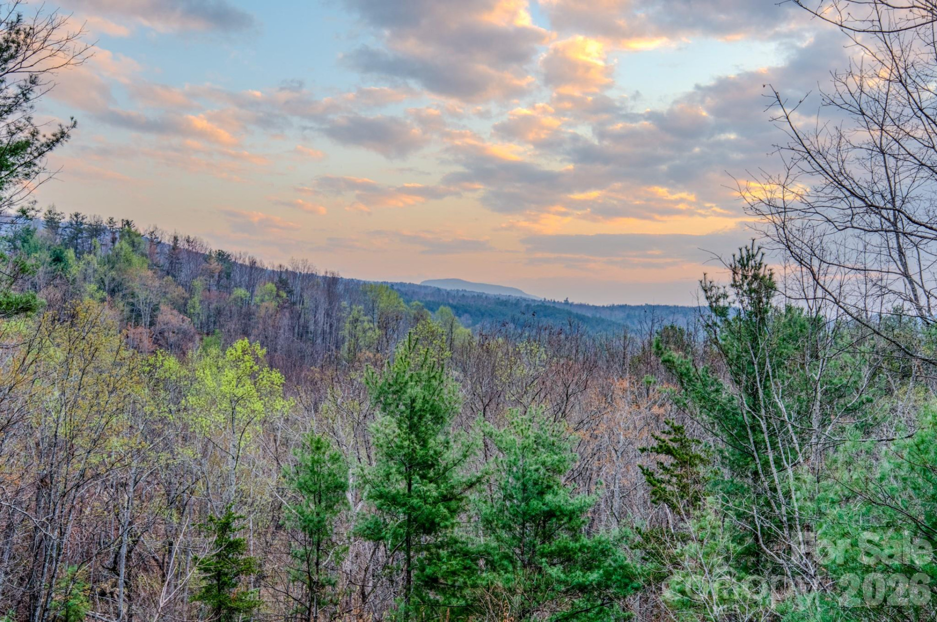 9147 Shortoff View Terrace - Photo 3