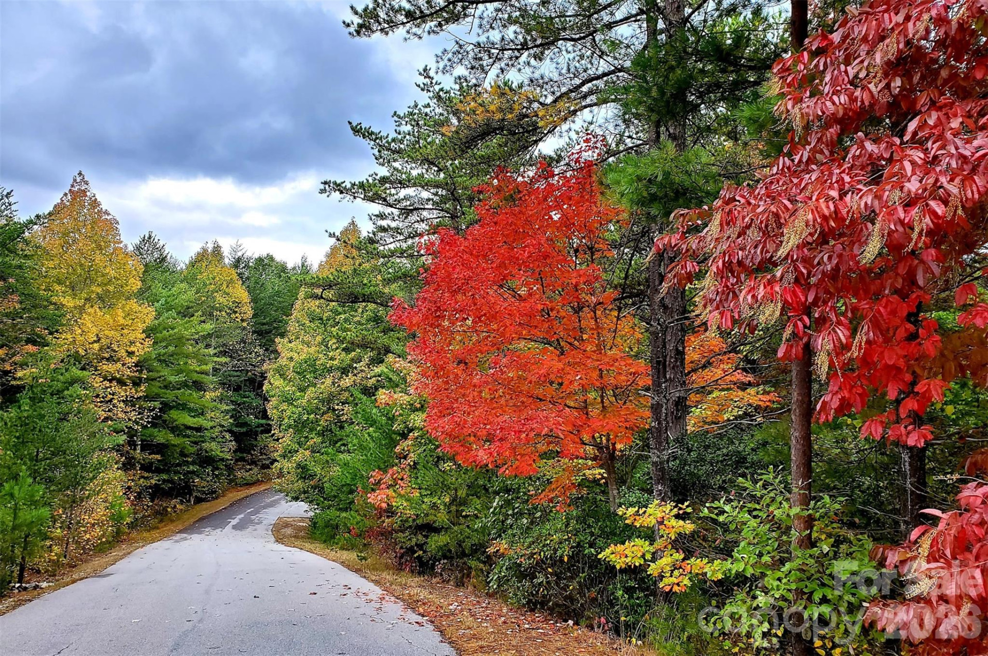 9147 Shortoff View Terrace - Photo 40