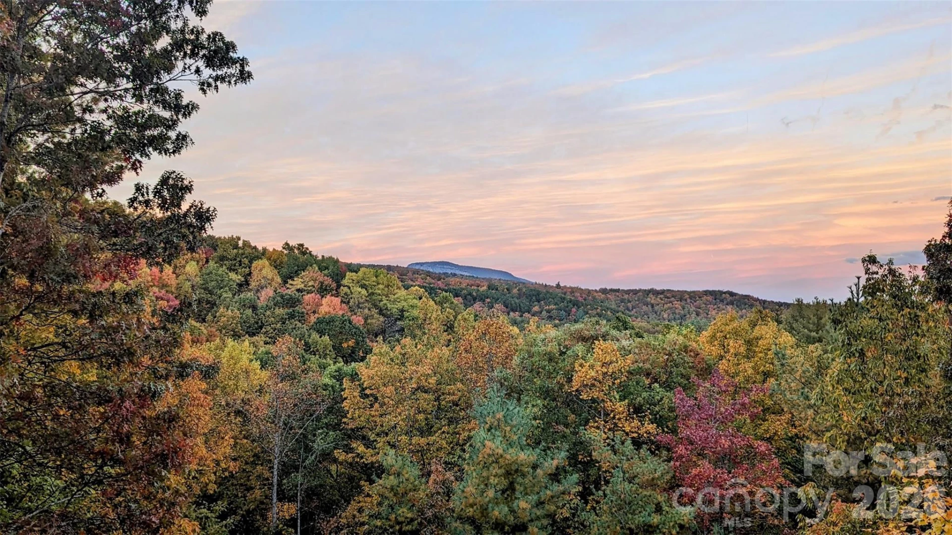 9147 Shortoff View Terrace - Photo 45