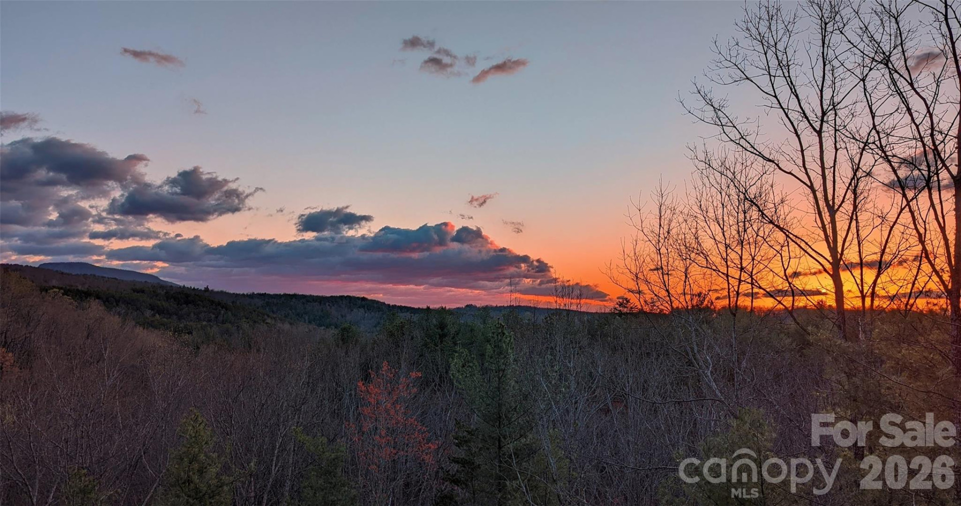 9147 Shortoff View Terrace - Photo 46