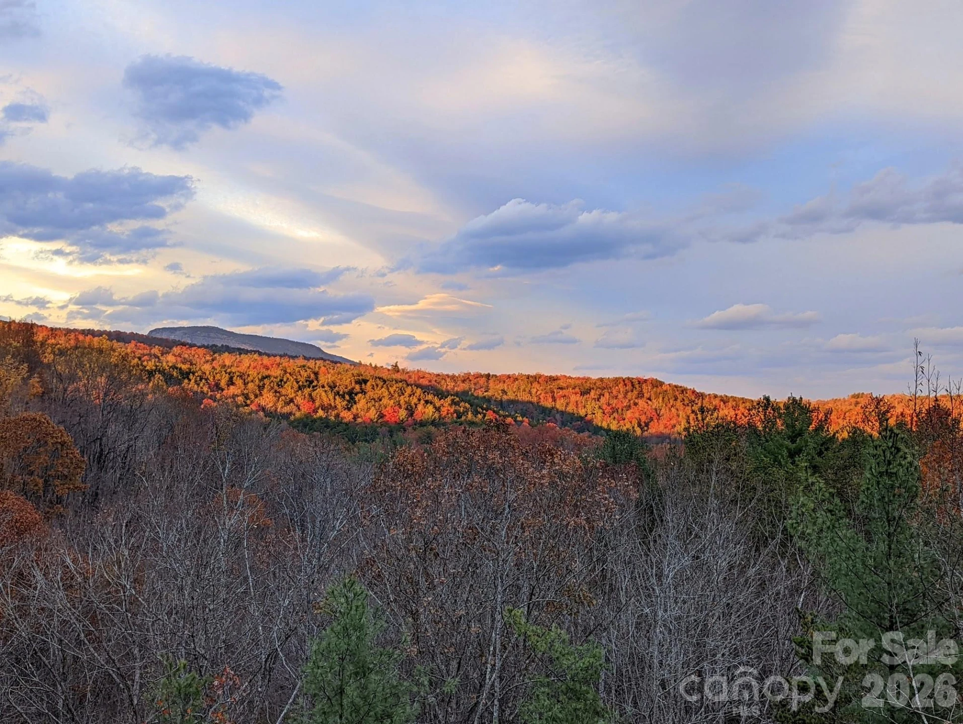 9147 Shortoff View Terrace - Photo 47