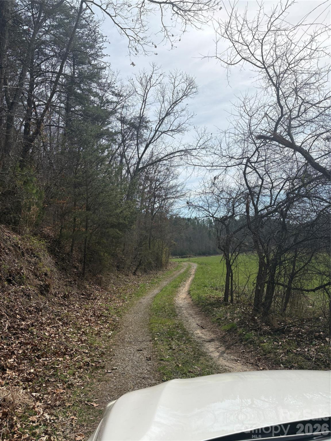 242 area Radford Road #1 - Photo 2