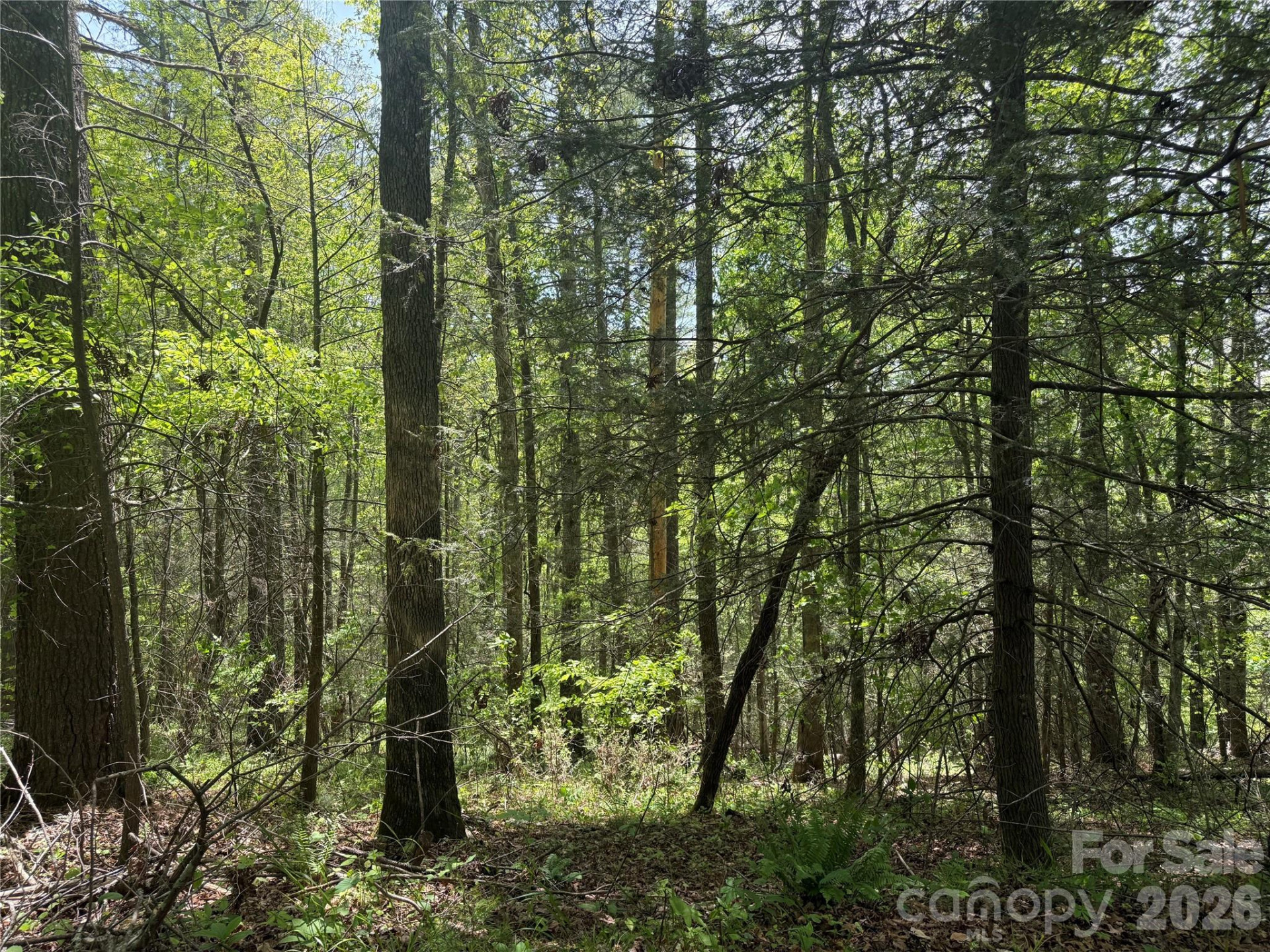 242 area Radford Road #1 - Photo 5