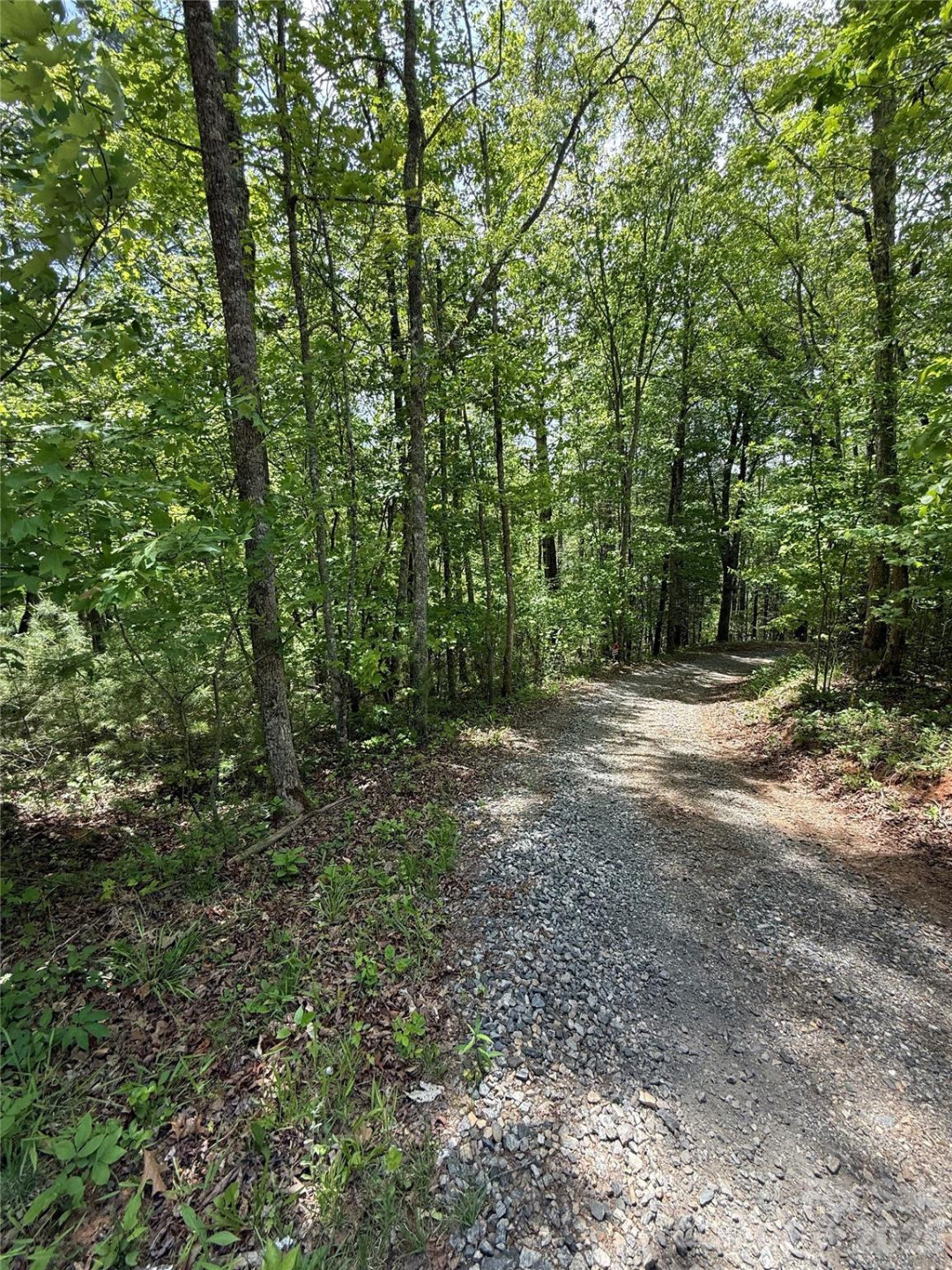 242 area Radford Road #1 - Photo 6