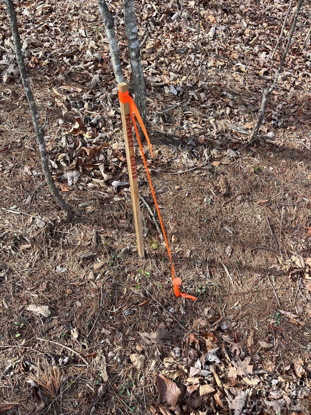 165 Katies Way - Photo 2