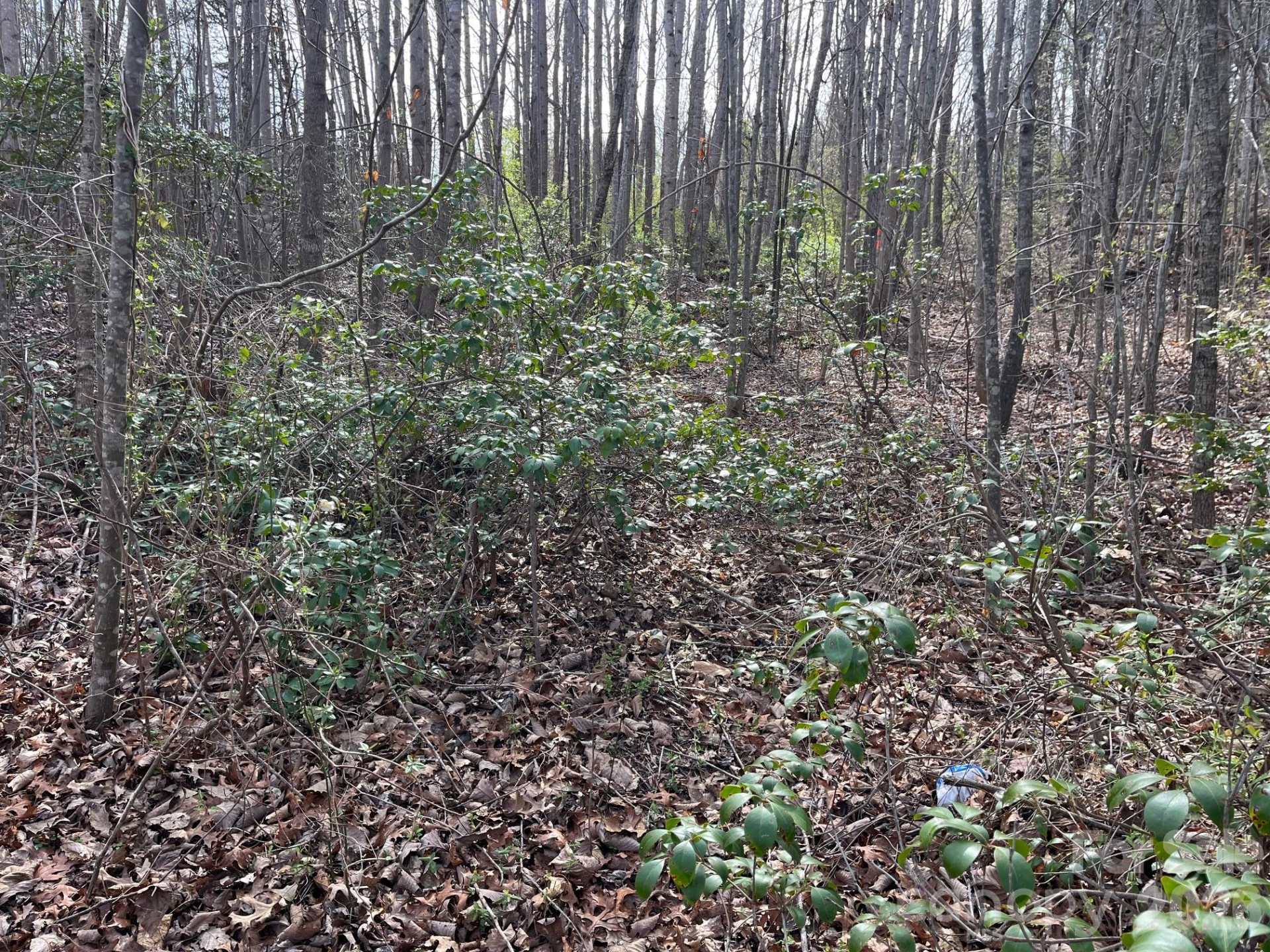 165 Katies Way - Photo 11