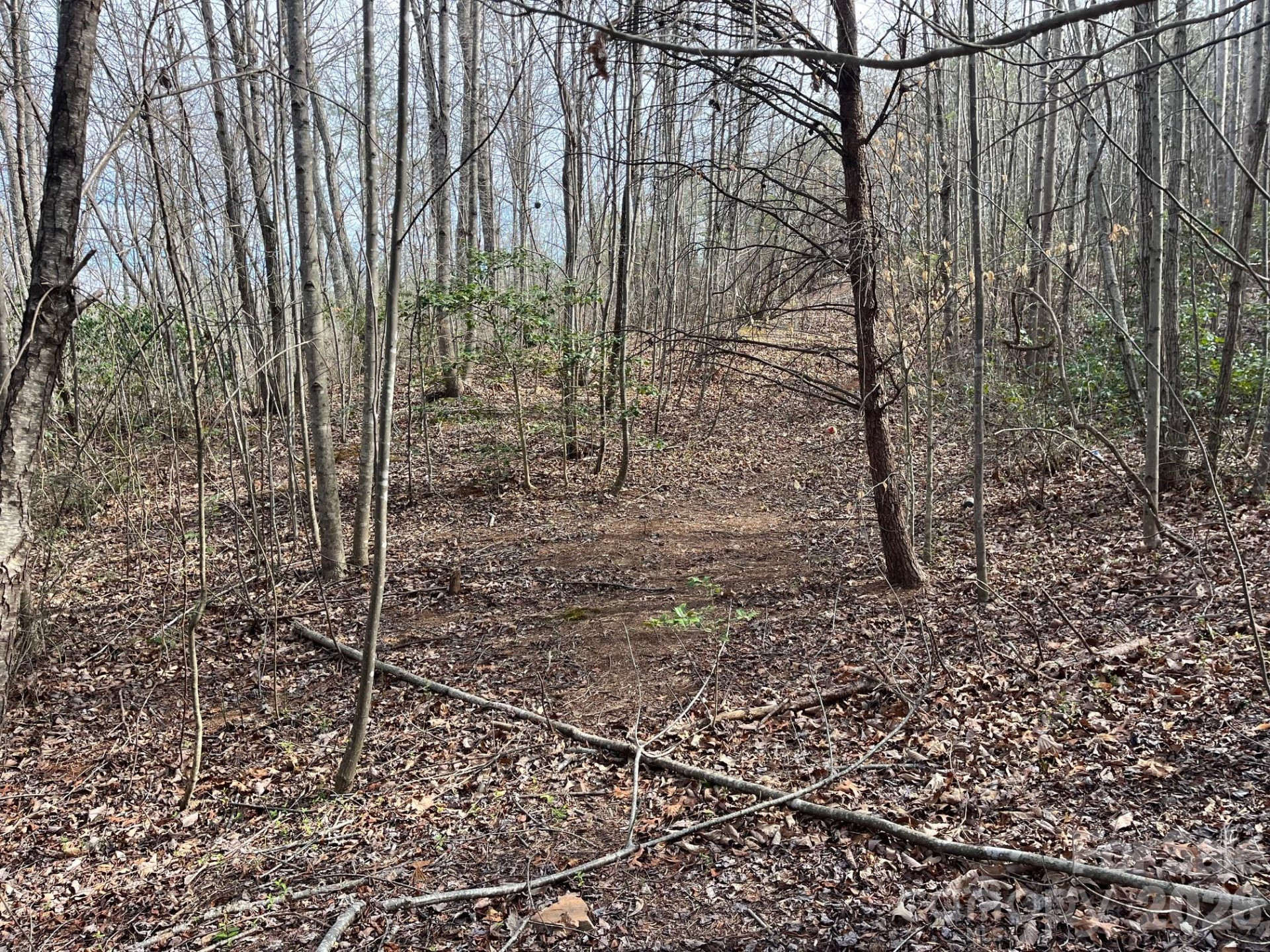 165 Katies Way - Photo 12