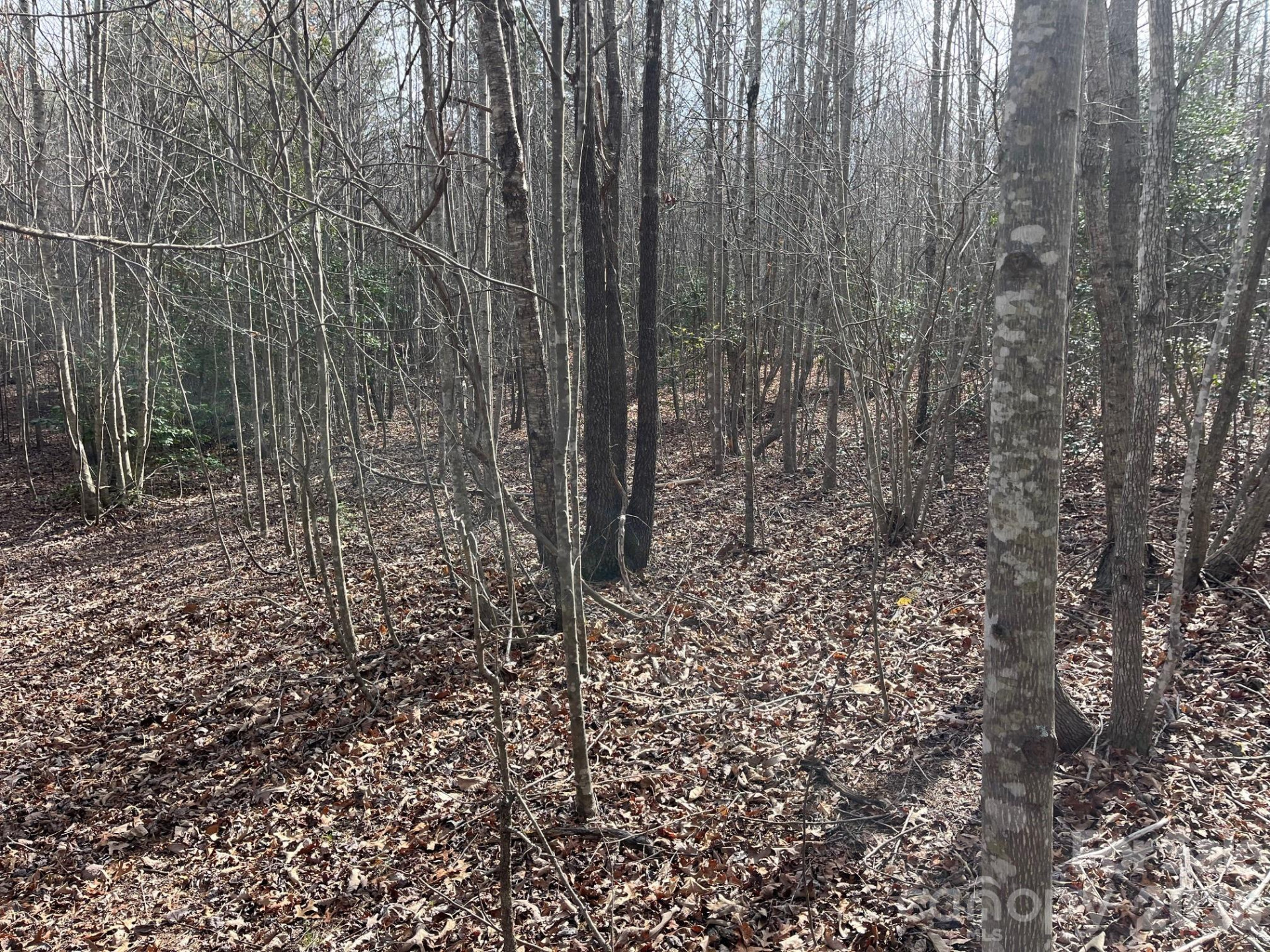 165 Katies Way - Photo 13