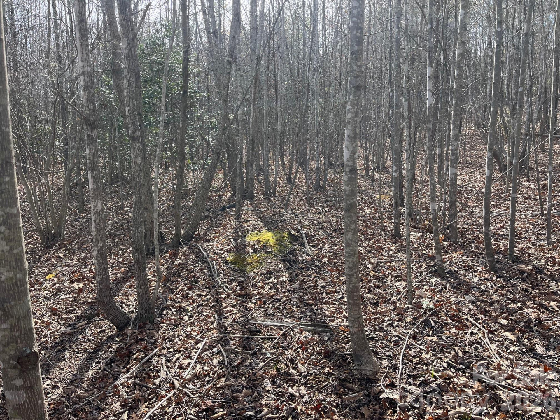 165 Katies Way - Photo 14