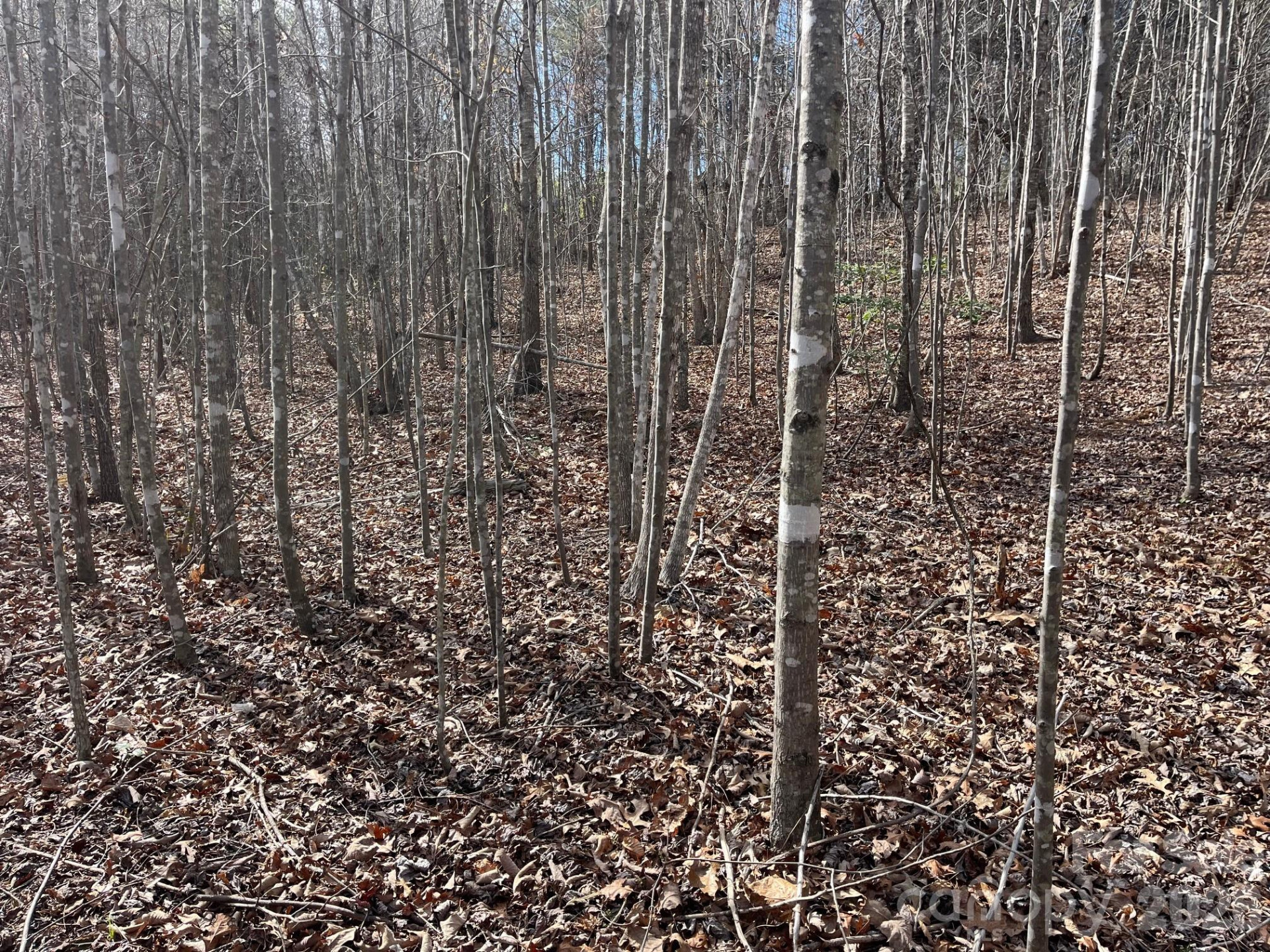 165 Katies Way - Photo 15