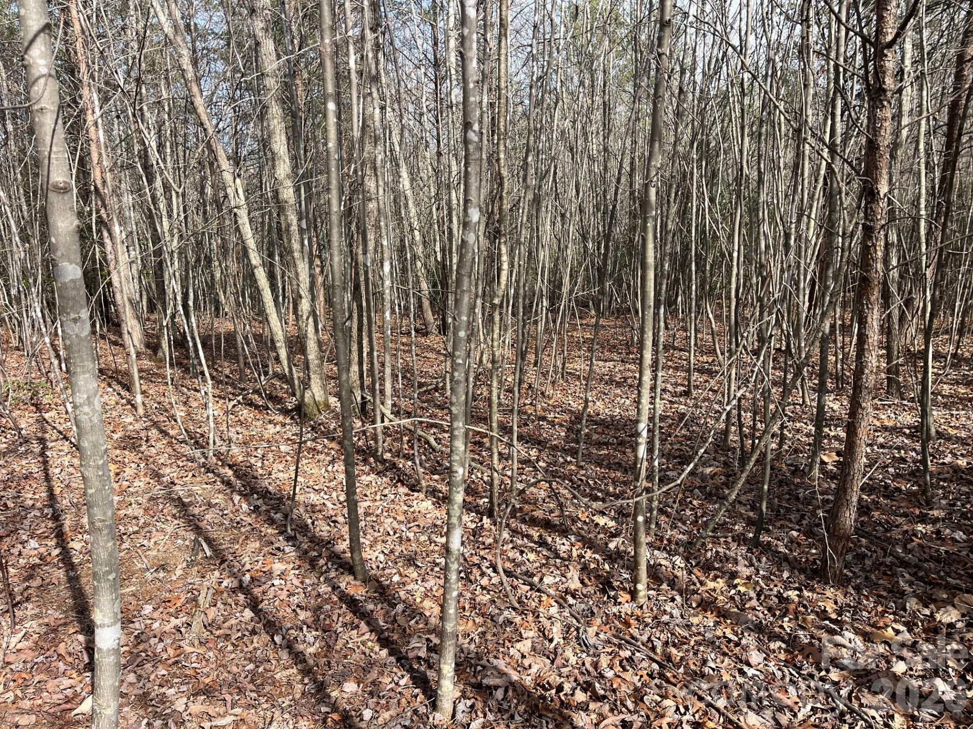 165 Katies Way - Photo 16