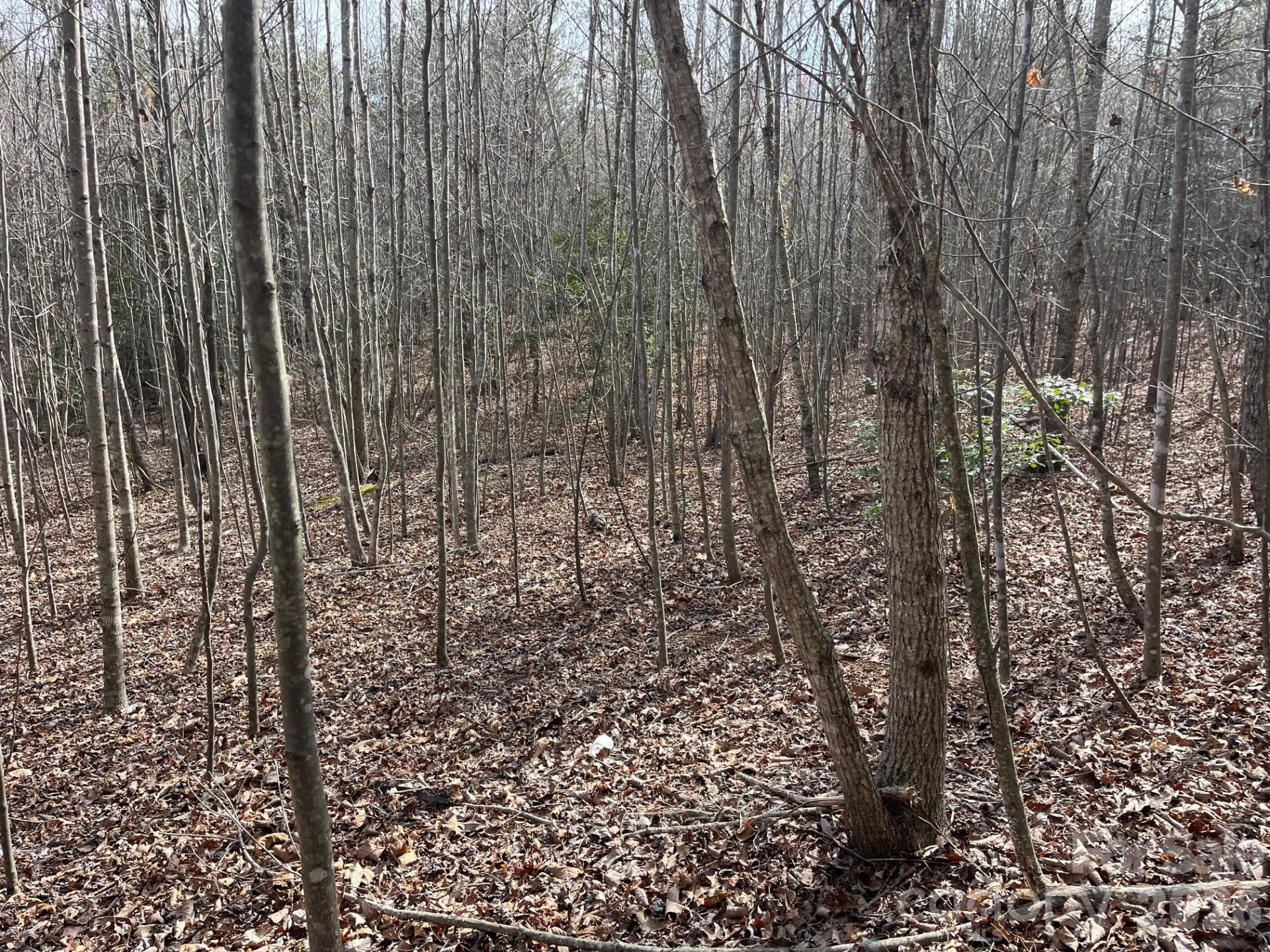 165 Katies Way - Photo 17