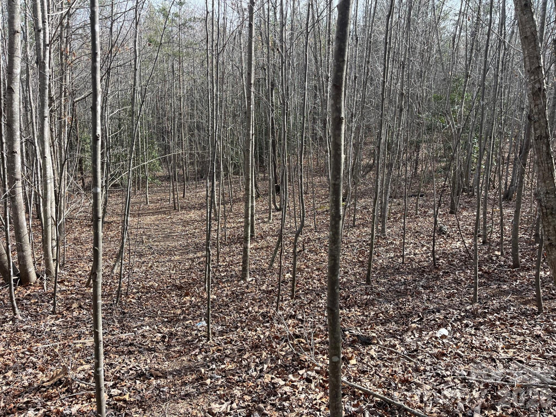 165 Katies Way - Photo 18