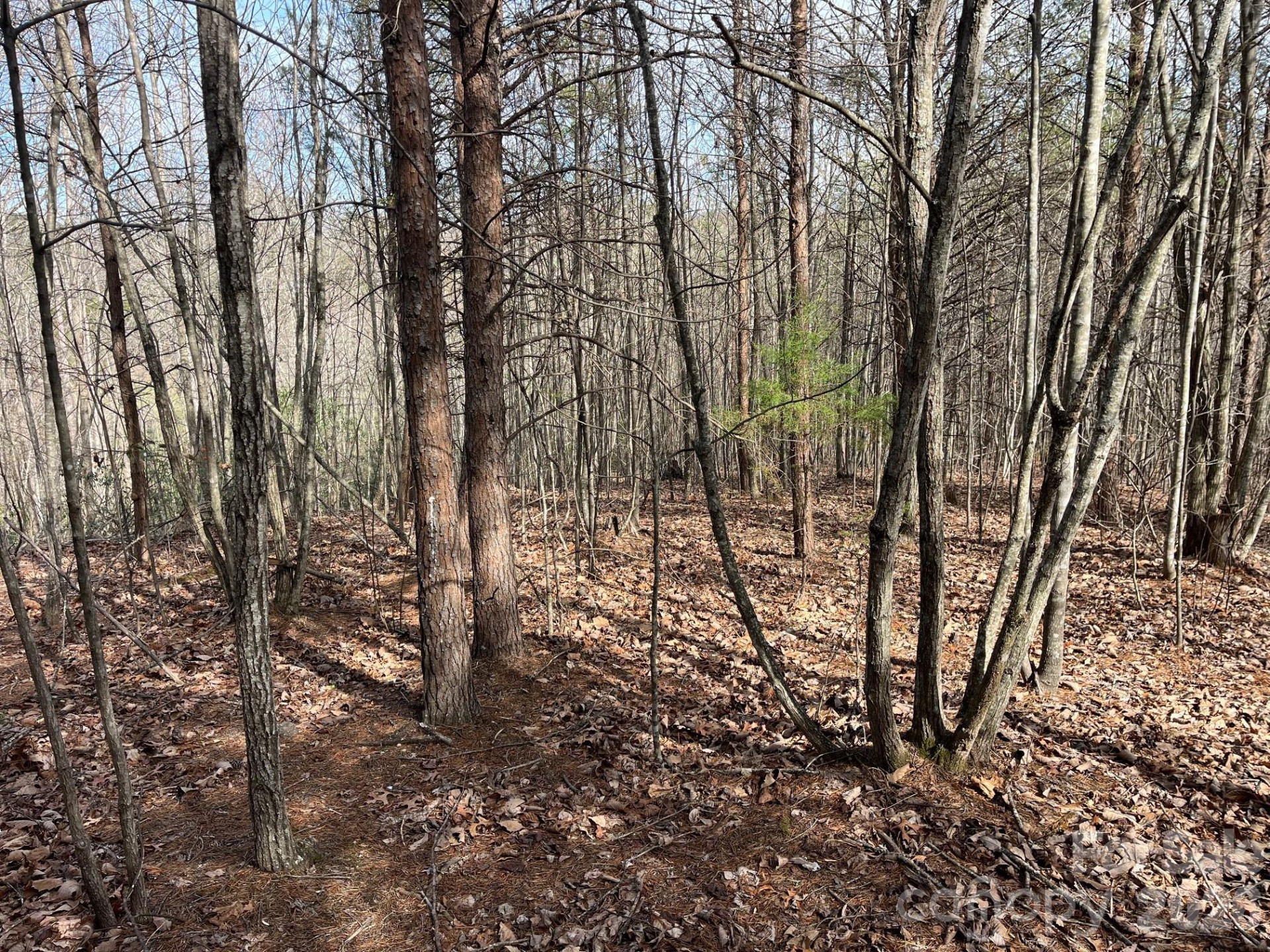 165 Katies Way - Photo 19