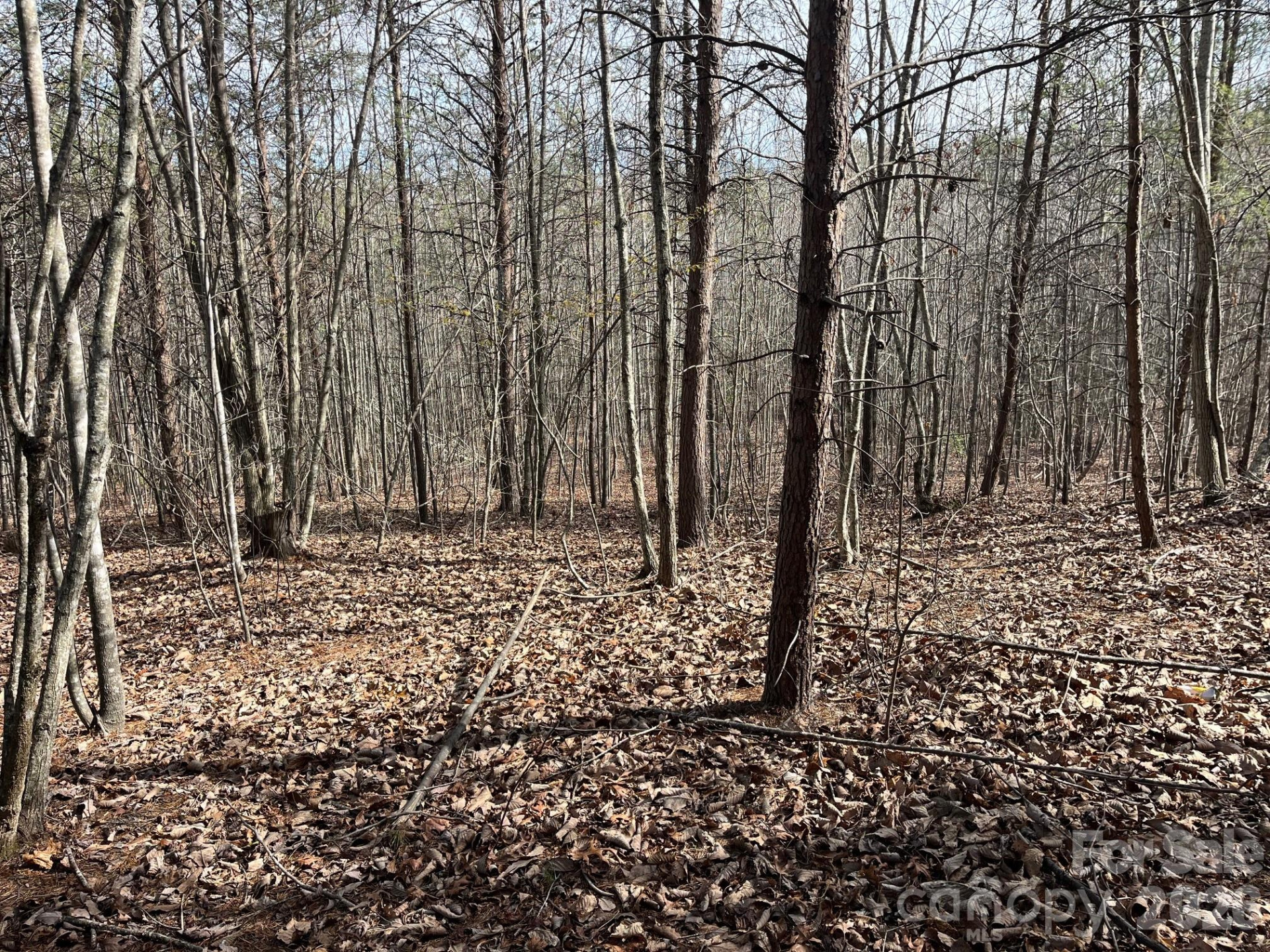 165 Katies Way - Photo 20