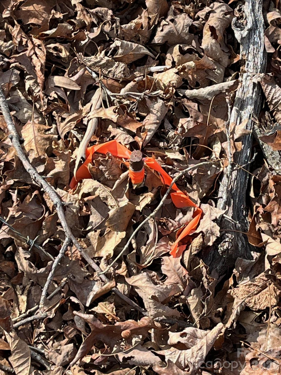 165 Katies Way - Photo 3