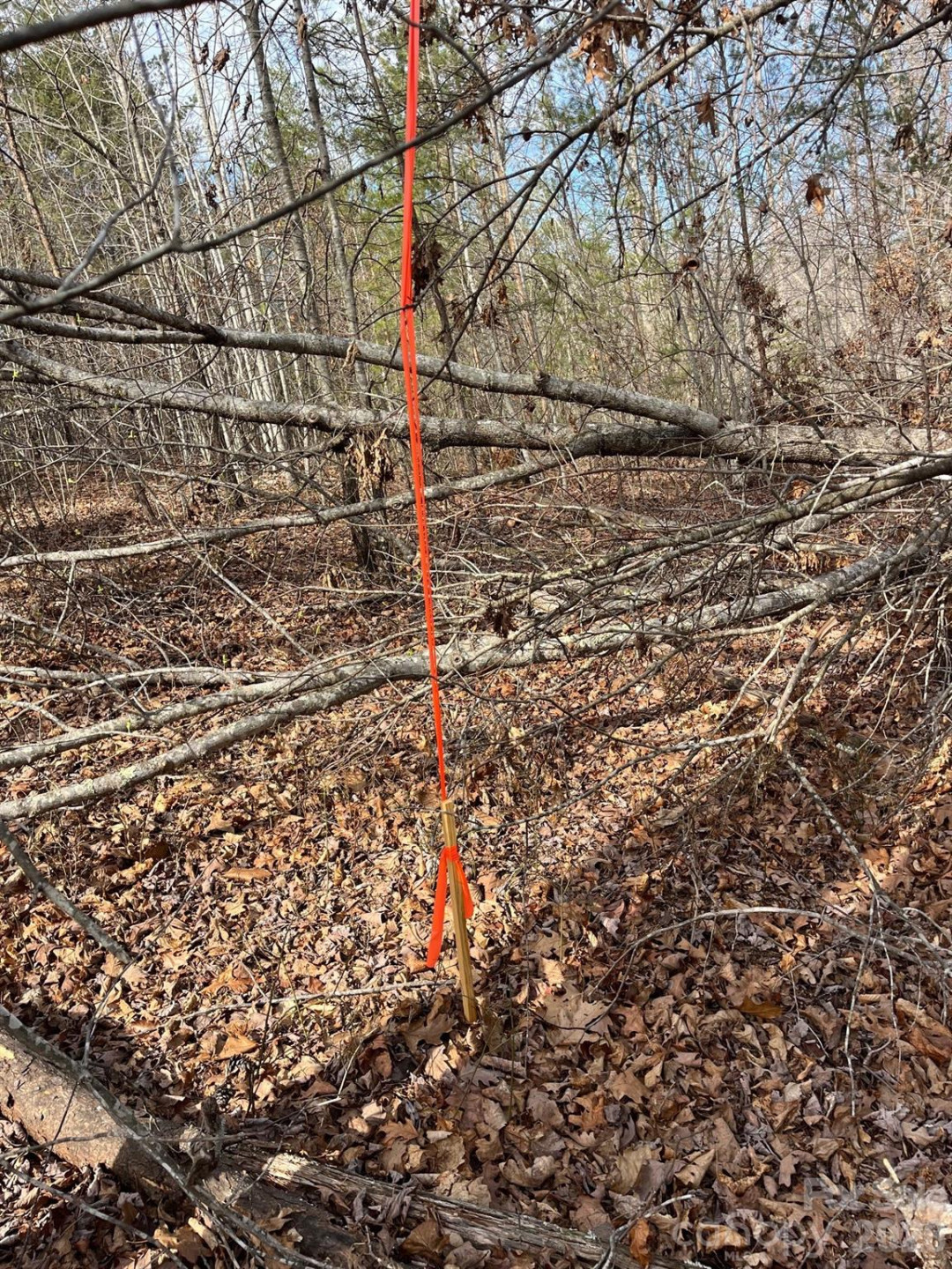 165 Katies Way - Photo 4