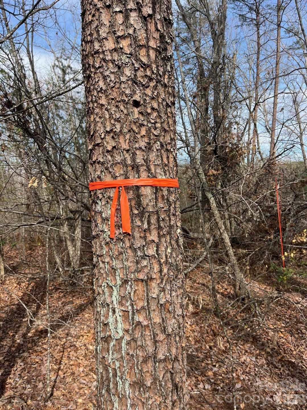 165 Katies Way - Photo 5