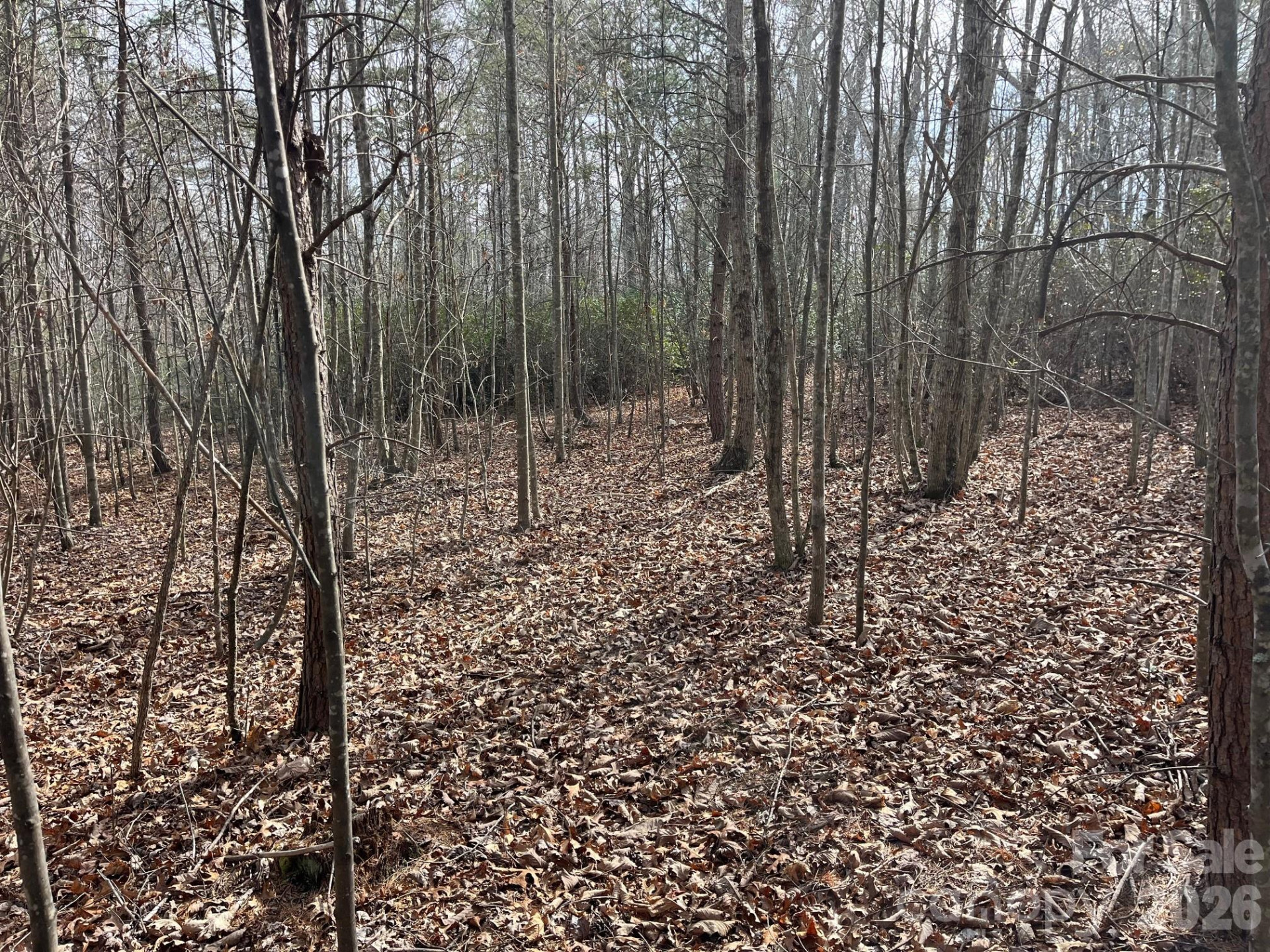 165 Katies Way - Photo 6