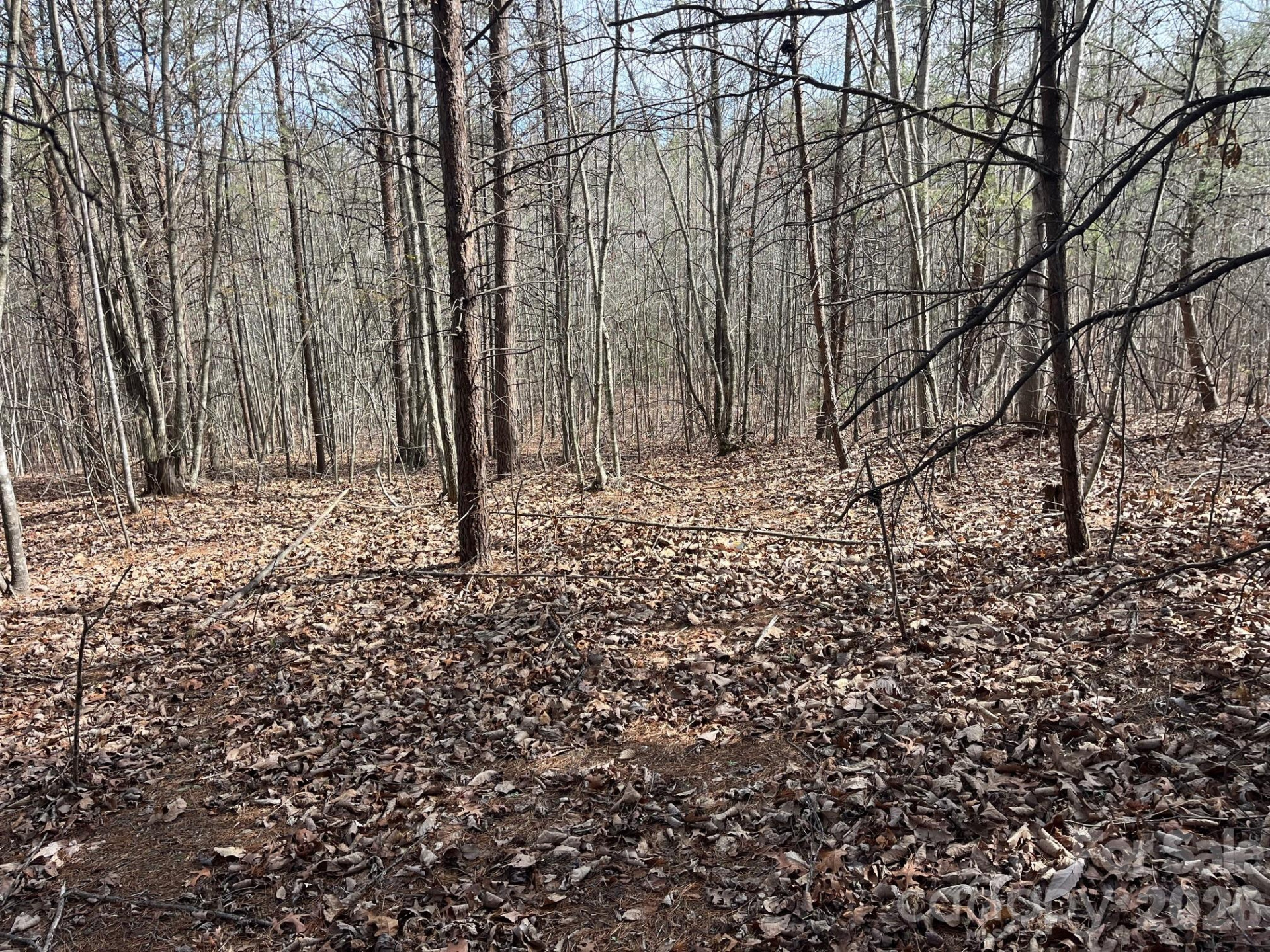 165 Katies Way - Photo 7