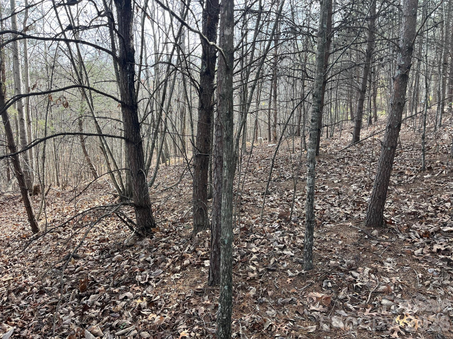 165 Katies Way - Photo 8