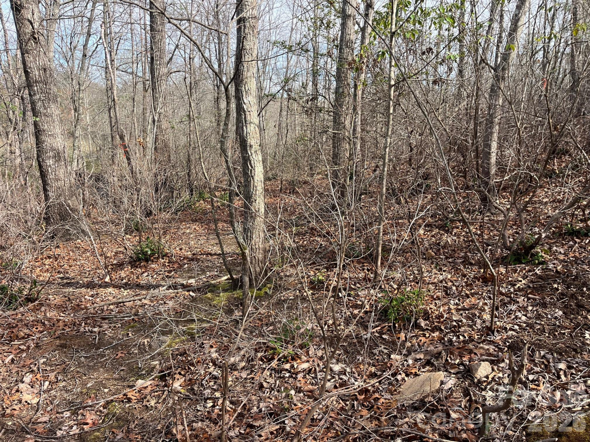 165 Katies Way - Photo 9