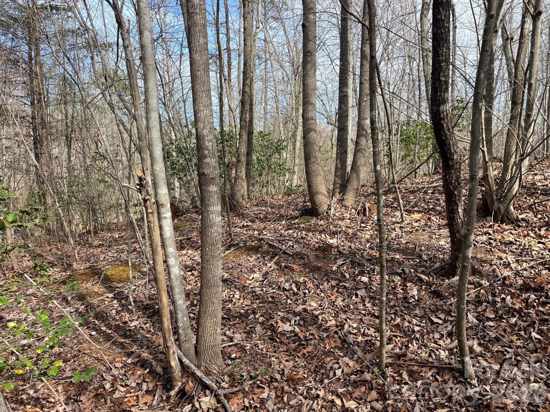 165 Katies Way - Photo 10