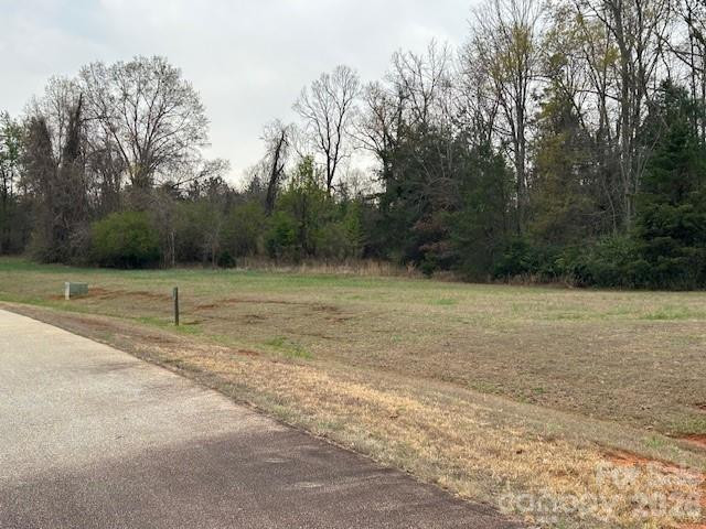 0 Palms Way - Photo 19