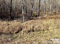 108 Lanning Road - Photo 7