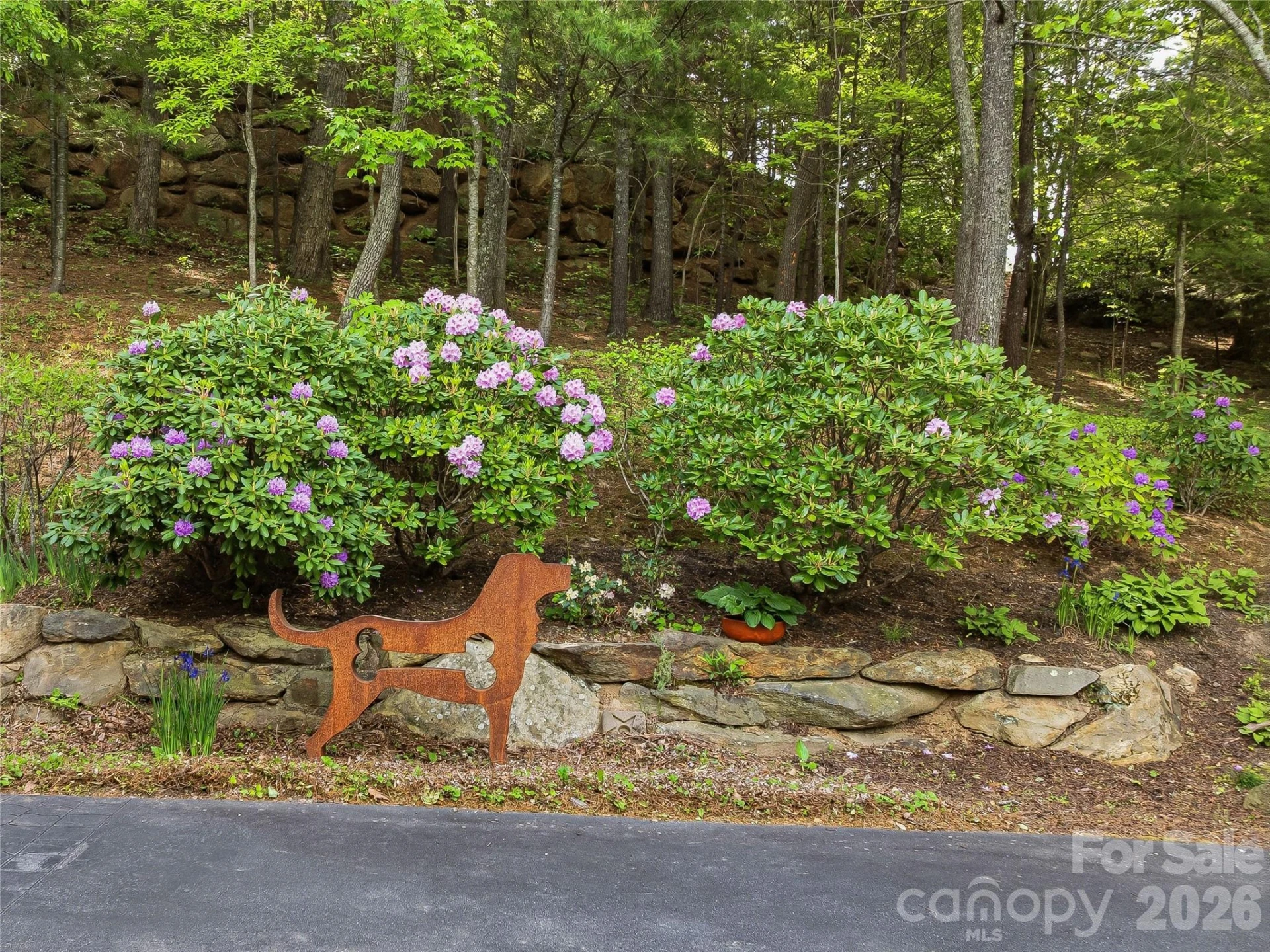 239 Senator Reynolds Road #31 - Photo 11