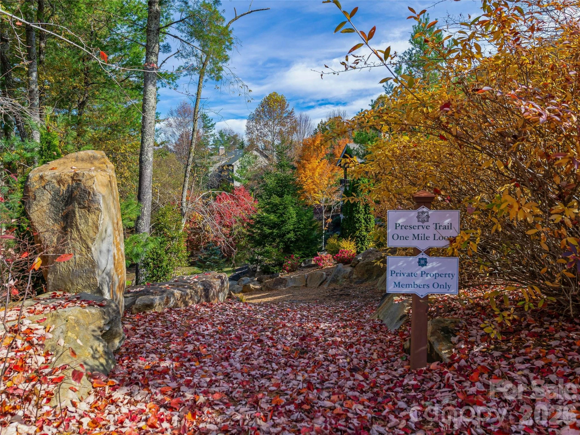 239 Senator Reynolds Road #31 - Photo 31