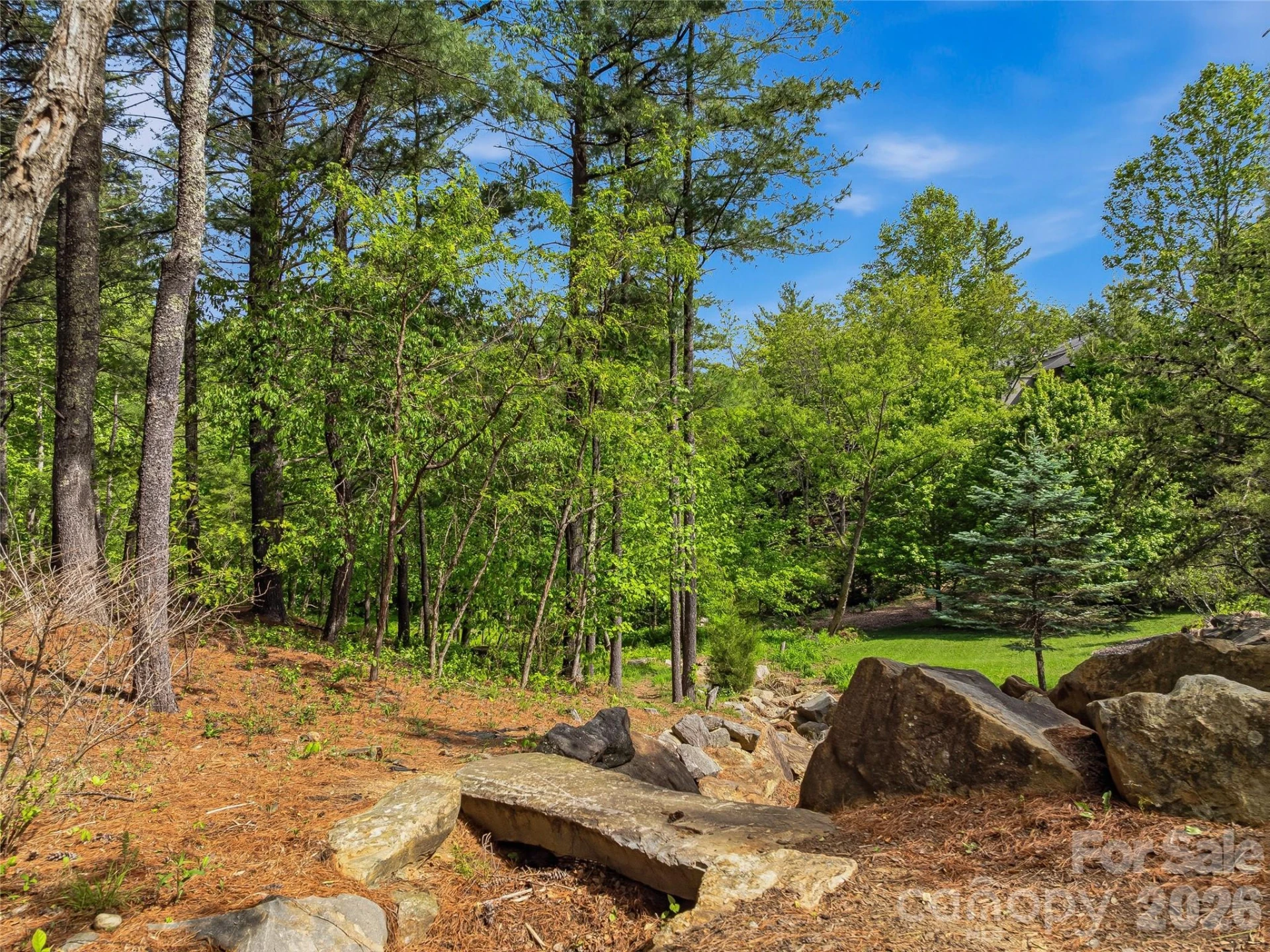 239 Senator Reynolds Road #31 - Photo 32