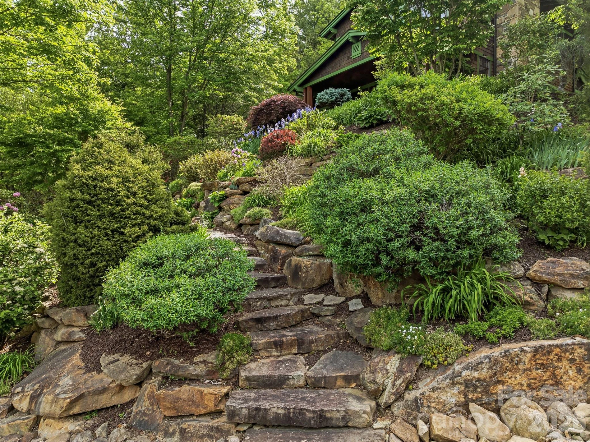 239 Senator Reynolds Road #31 - Photo 6