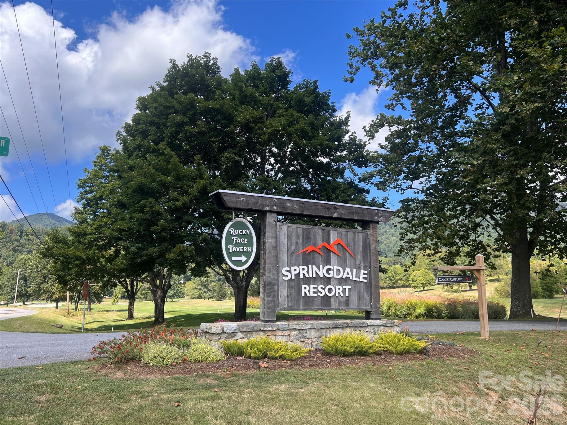 51 Bear Tree Cove - Photo 28