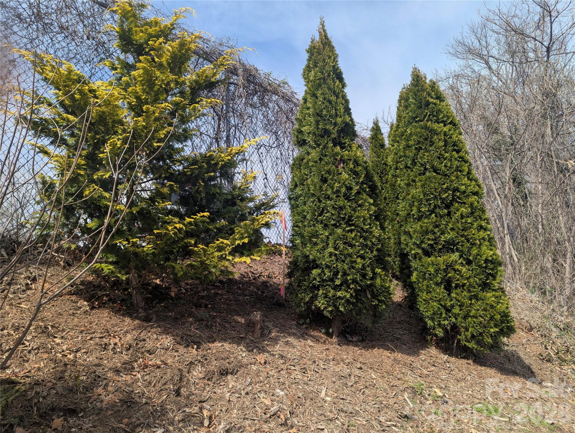 39 Jefferson Drive - Photo 6