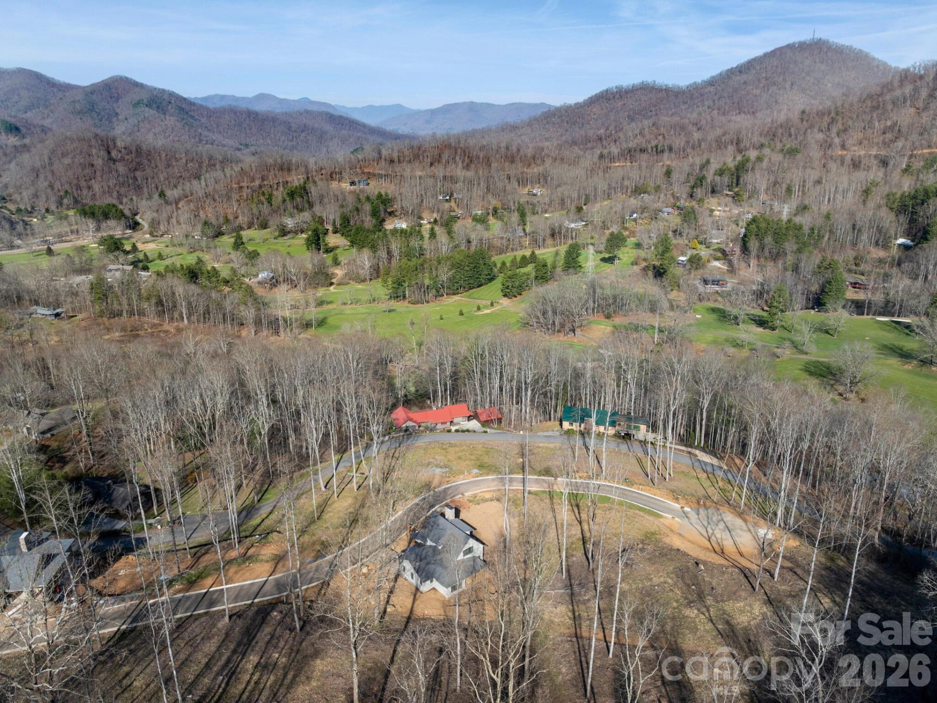 100 Bear Tree Cove - Photo 11