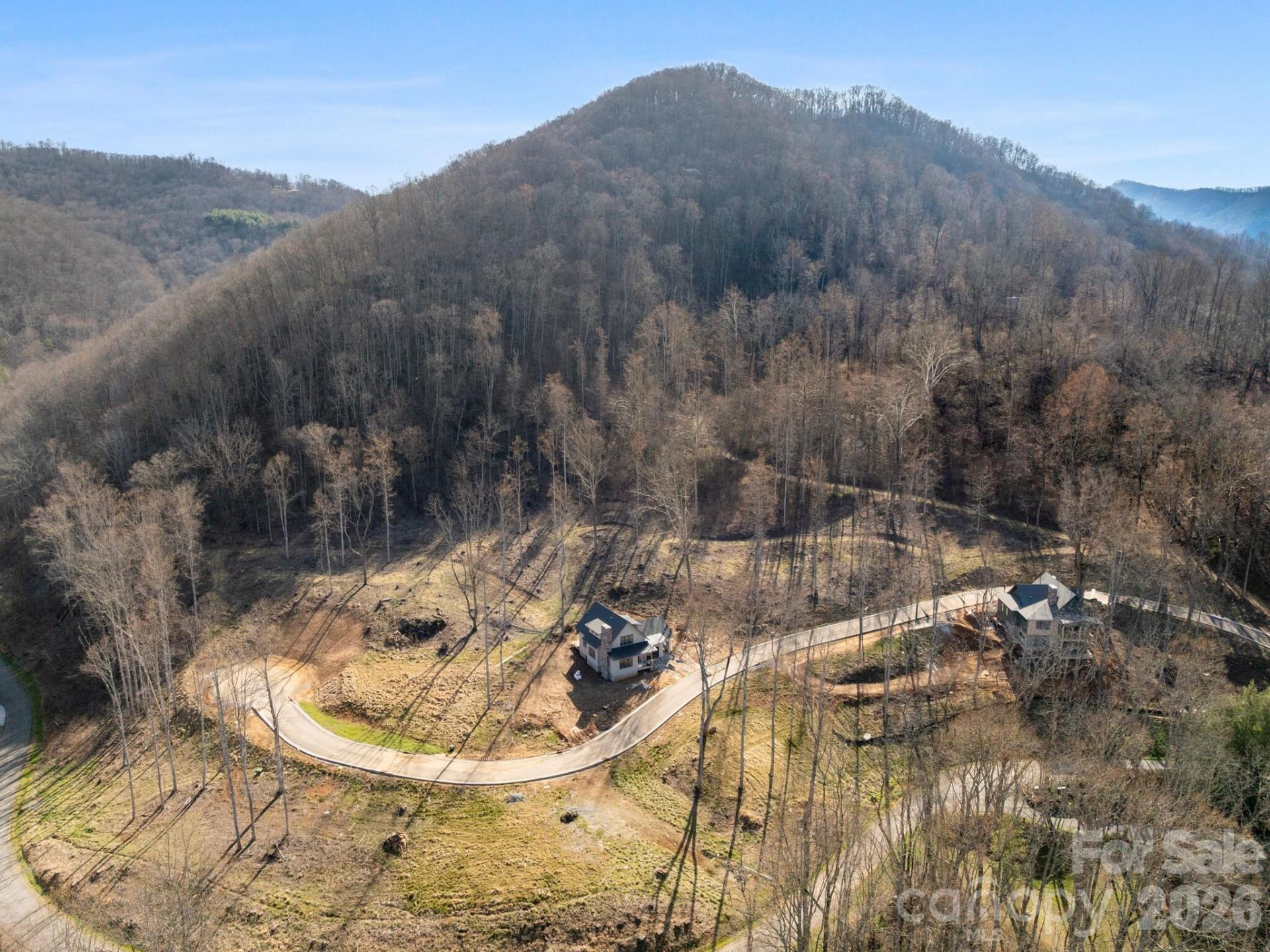 100 Bear Tree Cove - Photo 9