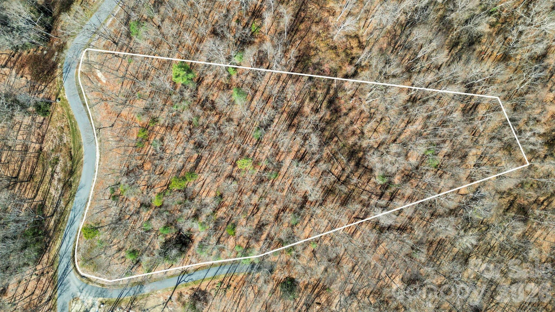 99 Spring Song Lane #9 - Photo 2