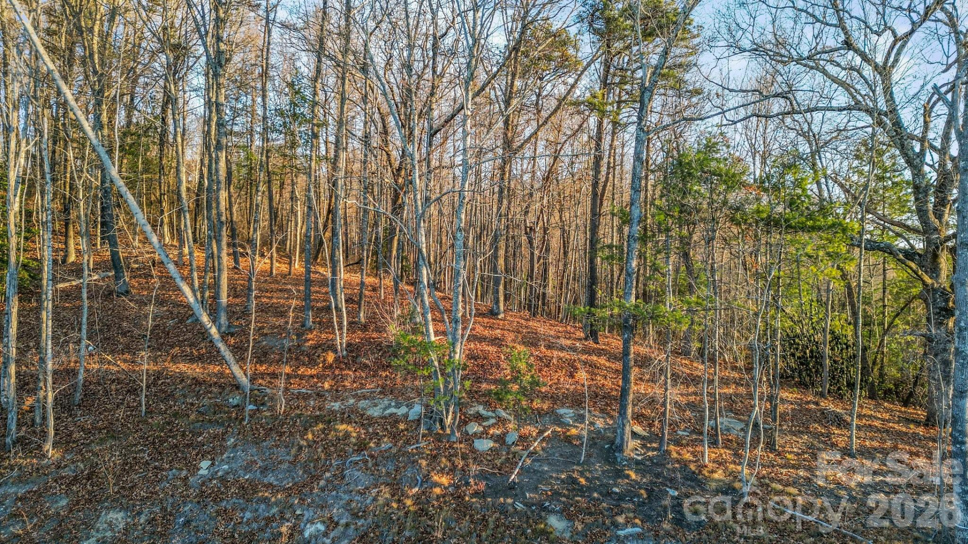 99 Spring Song Lane #9 - Photo 3