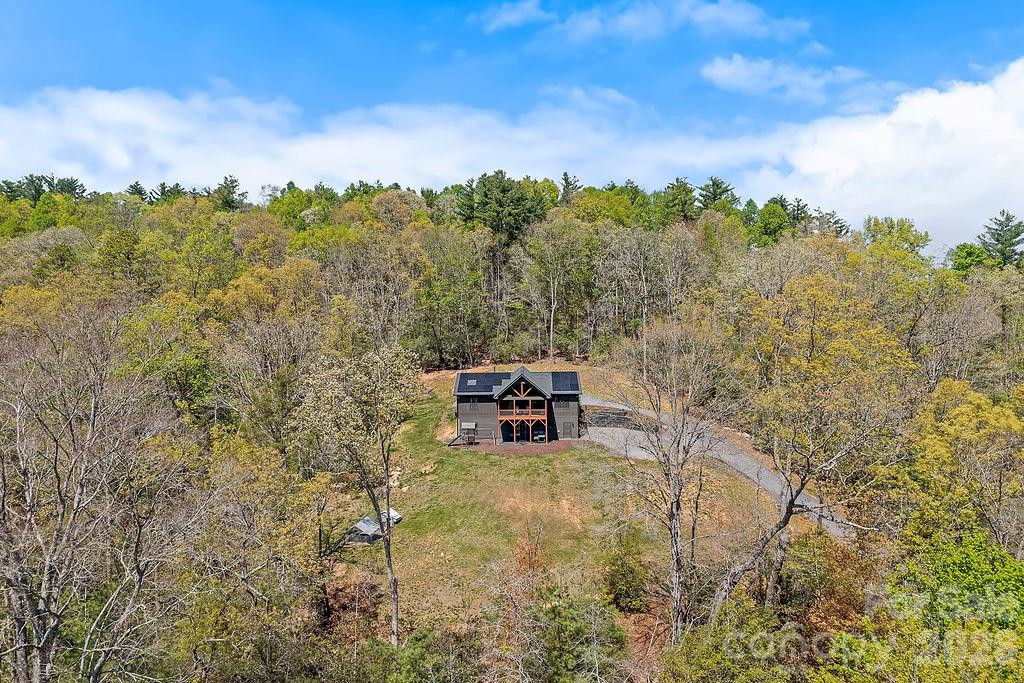 566 Mills River Road - Photo 27