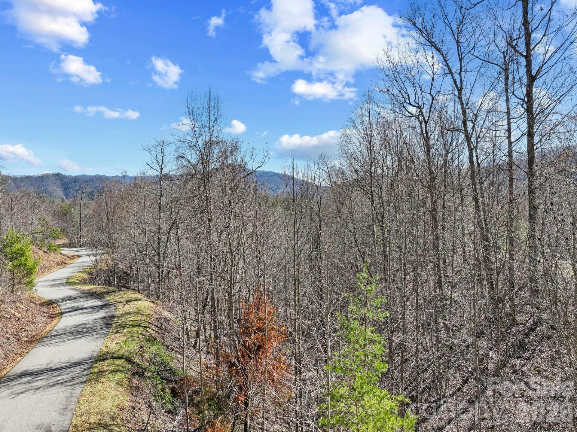 141 Sanctuary Way #13 - Photo 3