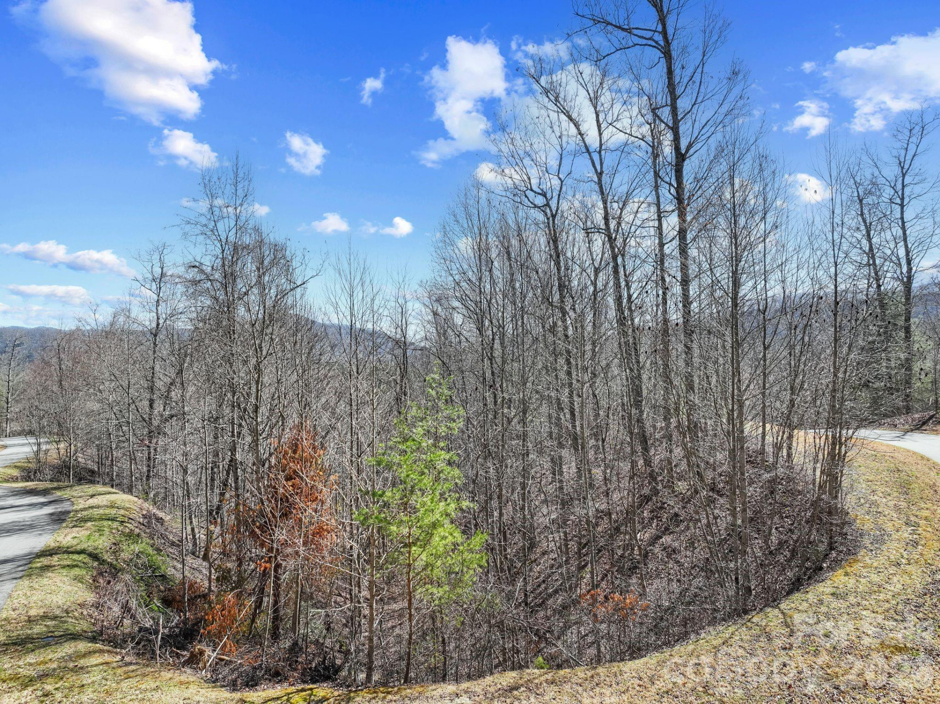 141 Sanctuary Way #13 - Photo 4