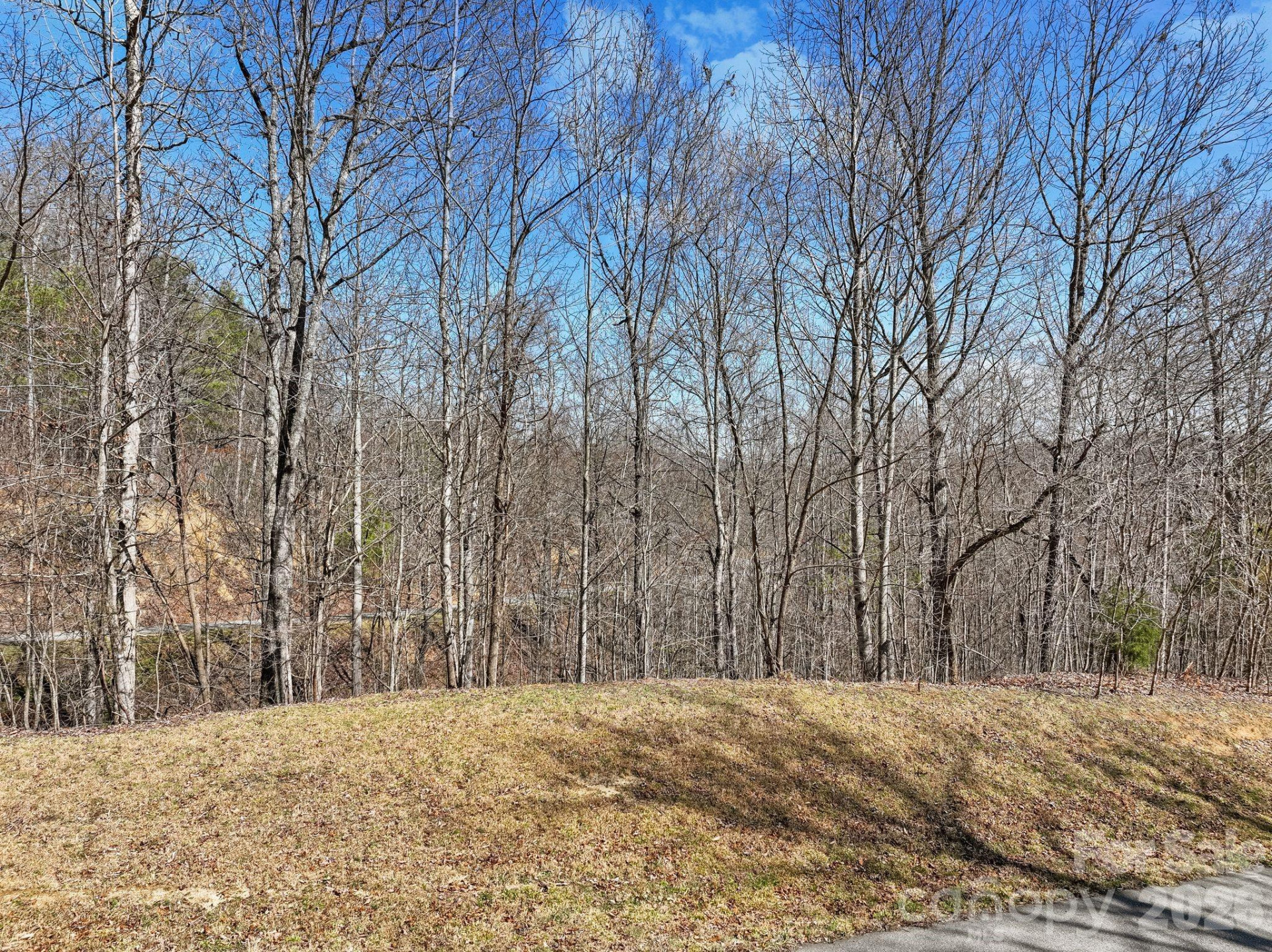 141 Sanctuary Way #13 - Photo 6